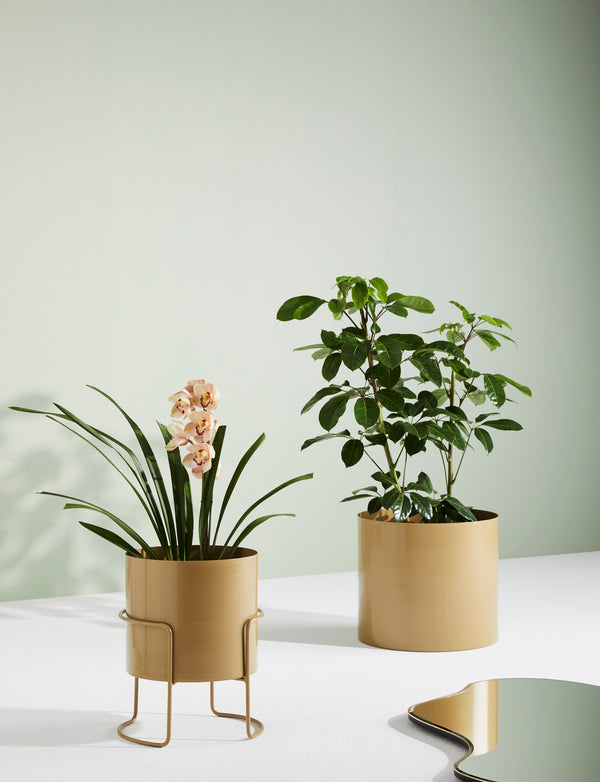 Chubby Spun Metal Pot