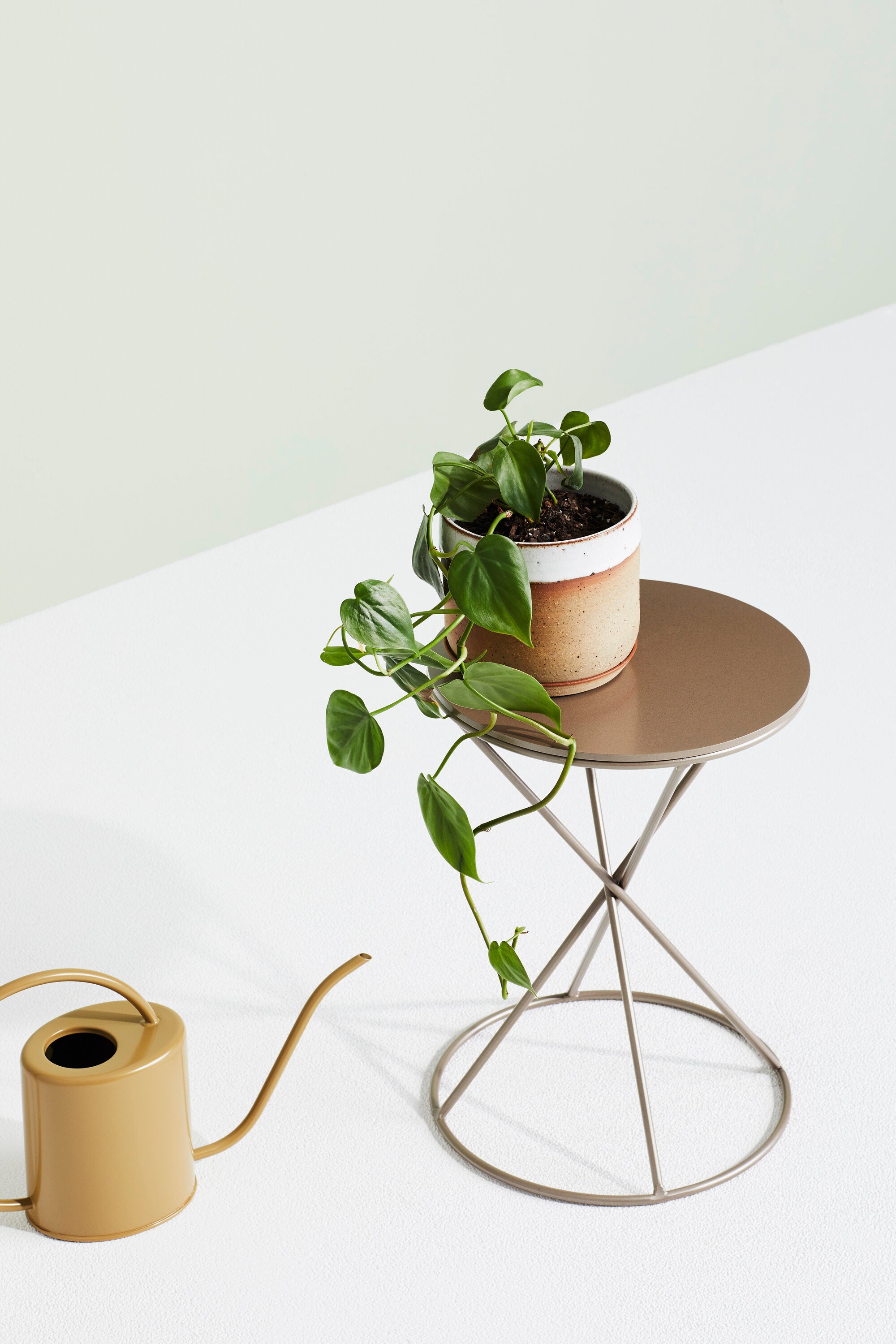 Hourglass Plant Pedestal