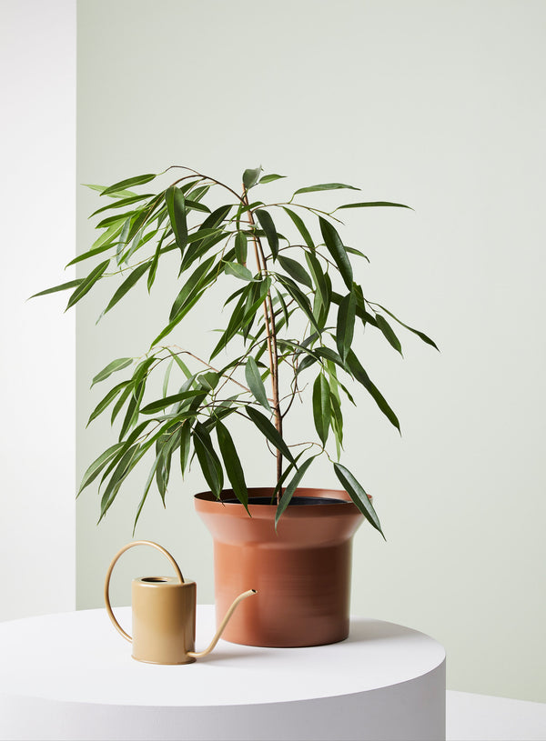 Lily Spun Metal Pot