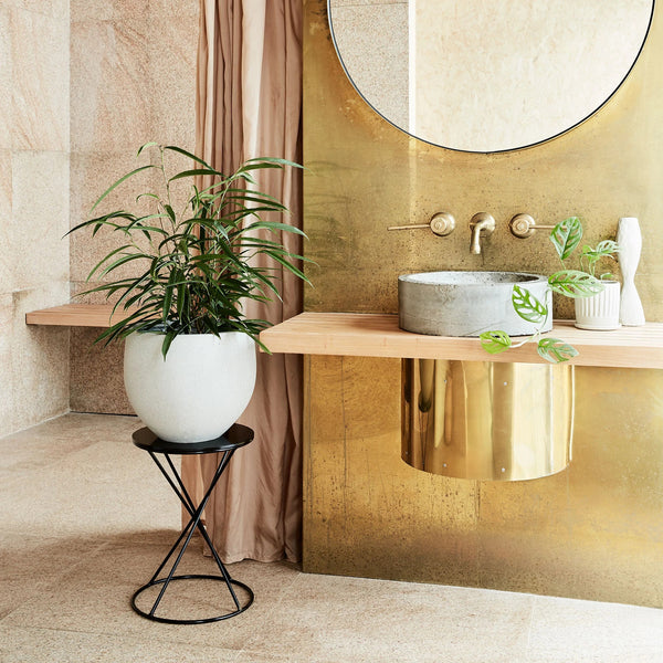 Hourglass Plant Pedestal