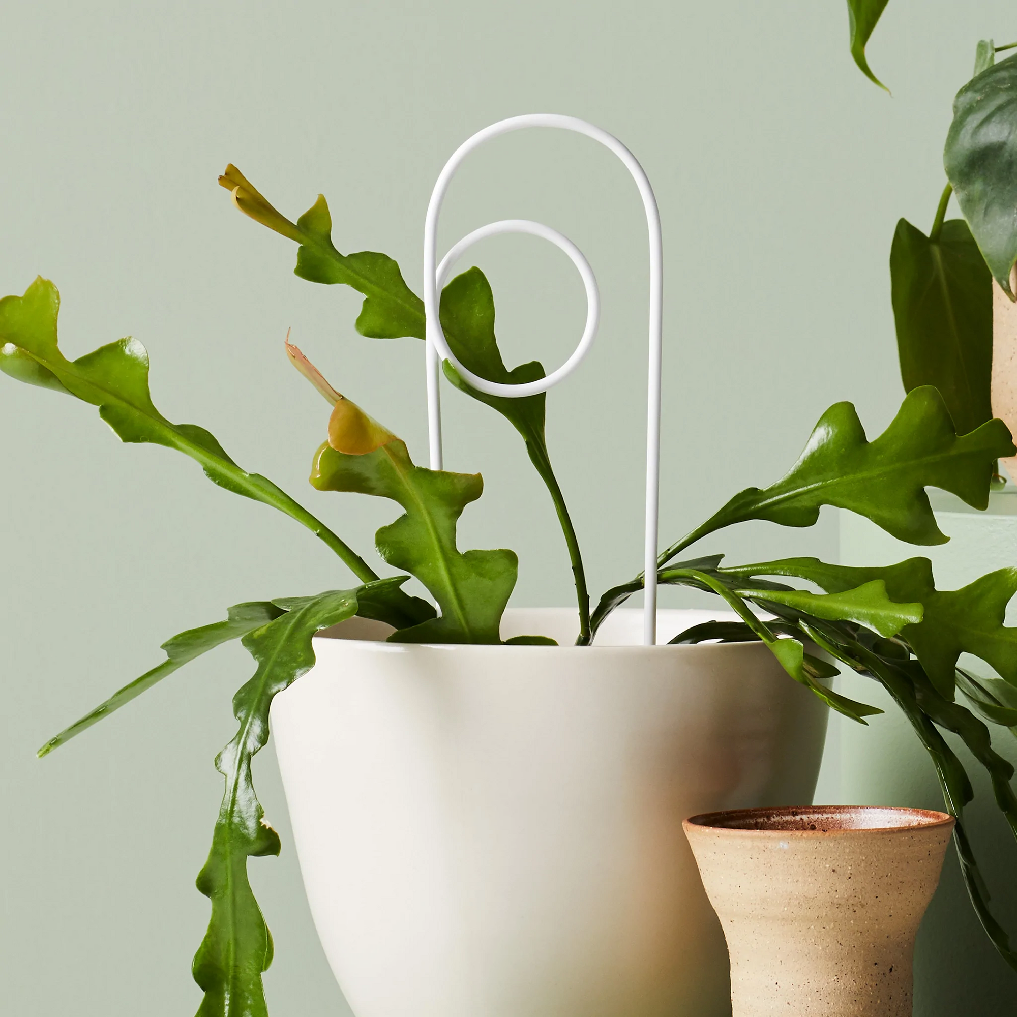 Mini Plant Stake