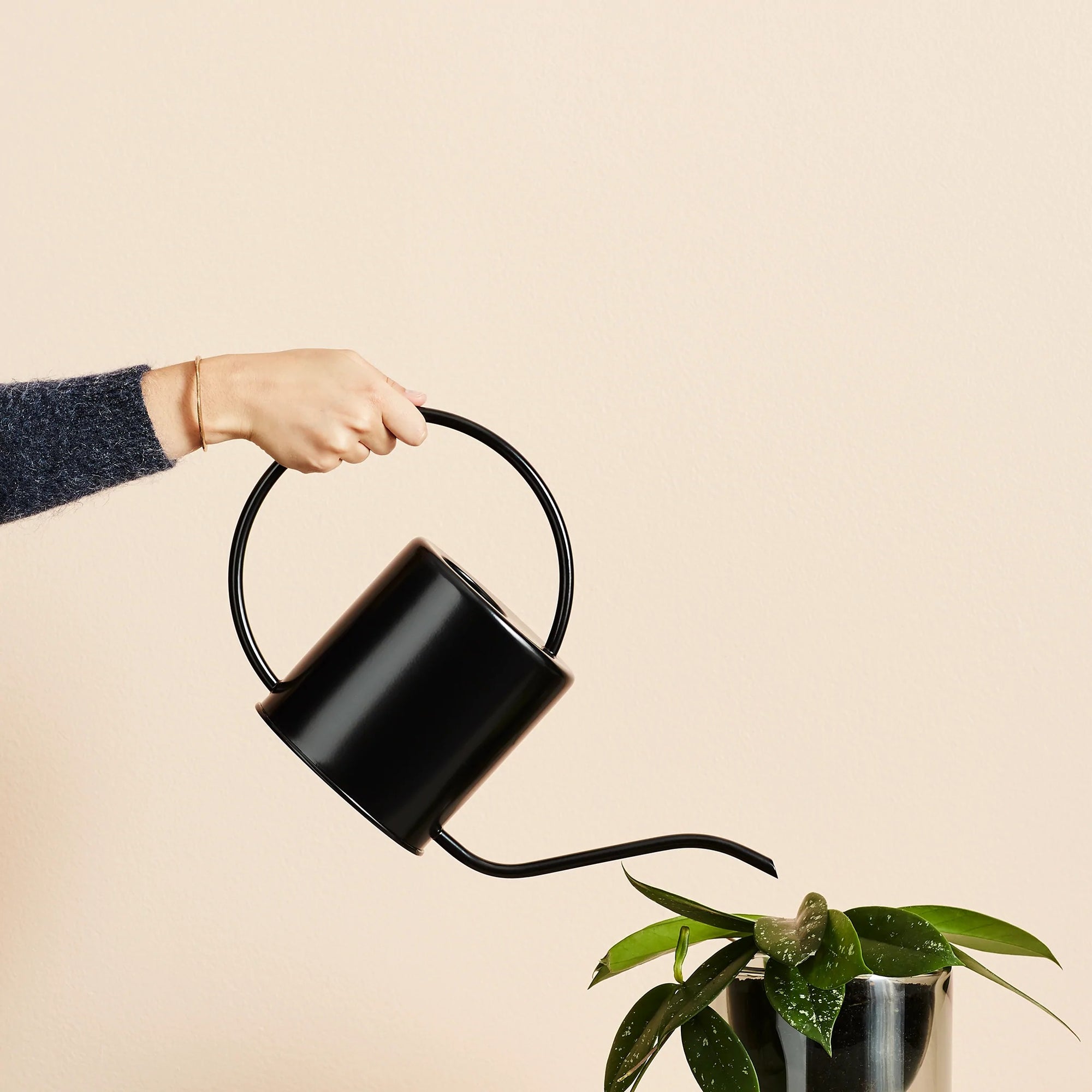 1.5ltr Indoor Watering Can